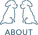 ABOUT