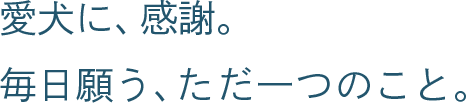 愛犬に、感謝。毎日願う、ただ一つのこと。