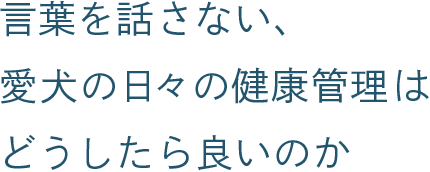 言葉を話さない、愛犬の日々の健康管理はどうしたら良いのか