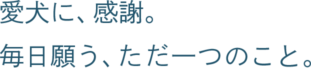 愛犬に、感謝。毎日願う、ただ一つのこと。