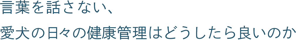 言葉を話さない、愛犬の日々の健康管理はどうしたら良いのか