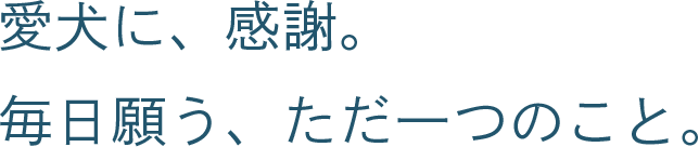 愛犬に、感謝。毎日願う、ただ一つのこと。