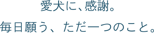 愛犬に、感謝。毎日願う、ただ一つのこと。